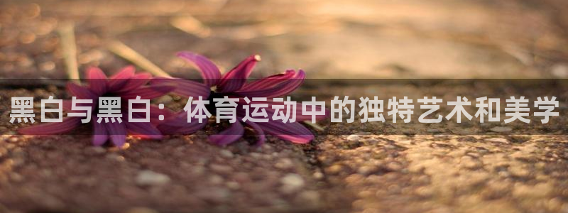 黑白与黑白：体育运动中的独特艺术和美学