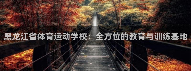 黑龙江省体育运动学校：全方位的教育与训练基地