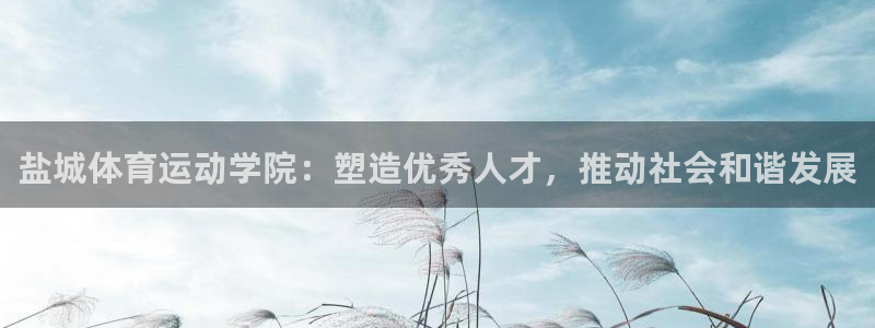 盐城体育运动学院：塑造优秀人才，推动社会和谐发展
